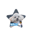 ウルウルBABY（個別スタンプ：13）