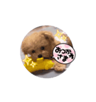 ウルウルBABY（個別スタンプ：14）