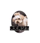 ウルウルBABY（個別スタンプ：15）