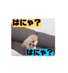 ウルウルBABY（個別スタンプ：16）
