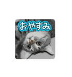 ももとみぃ（個別スタンプ：2）