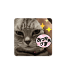 ももとみぃ（個別スタンプ：3）