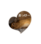 うさぎのむぎちゃん2（個別スタンプ：7）