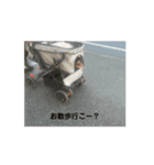 うきうきさくらだよ（個別スタンプ：4）