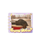 うきうきさくらだよ（個別スタンプ：6）