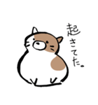 もちもちしたねこ(よく使う言葉とあいさつ)（個別スタンプ：3）
