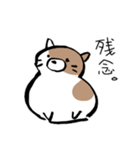 もちもちしたねこ(よく使う言葉とあいさつ)（個別スタンプ：4）
