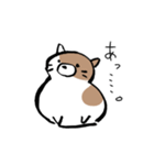 もちもちしたねこ(よく使う言葉とあいさつ)（個別スタンプ：5）