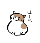もちもちしたねこ(よく使う言葉とあいさつ)（個別スタンプ：8）