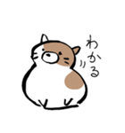もちもちしたねこ(よく使う言葉とあいさつ)（個別スタンプ：9）