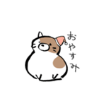 もちもちしたねこ(よく使う言葉とあいさつ)（個別スタンプ：10）