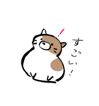 もちもちしたねこ(よく使う言葉とあいさつ)（個別スタンプ：11）