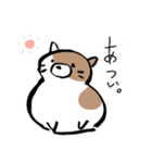 もちもちしたねこ(よく使う言葉とあいさつ)（個別スタンプ：13）