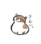 もちもちしたねこ(よく使う言葉とあいさつ)（個別スタンプ：14）