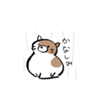 もちもちしたねこ(よく使う言葉とあいさつ)（個別スタンプ：16）
