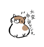 もちもちしたねこ(よく使う言葉とあいさつ)（個別スタンプ：19）