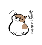 もちもちしたねこ(よく使う言葉とあいさつ)（個別スタンプ：20）