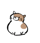 もちもちしたねこ(よく使う言葉とあいさつ)（個別スタンプ：24）