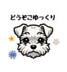 日常会話系のシュナウザー☆（個別スタンプ：11）
