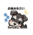 日常会話系のシュナウザー☆（個別スタンプ：22）