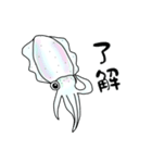 アオリイカ好きが作ったスタンプ（個別スタンプ：2）