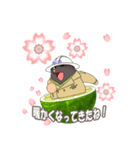 すだちもぐ太13 春が来た！（個別スタンプ：4）