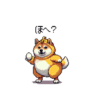 ヒヨコな太っちょ柴犬 挨拶にも（個別スタンプ：1）