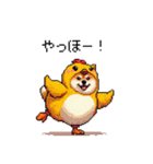 ヒヨコな太っちょ柴犬 挨拶にも（個別スタンプ：3）