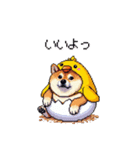 ヒヨコな太っちょ柴犬 挨拶にも（個別スタンプ：4）