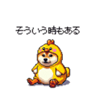 ヒヨコな太っちょ柴犬 挨拶にも（個別スタンプ：7）