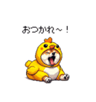 ヒヨコな太っちょ柴犬 挨拶にも（個別スタンプ：10）