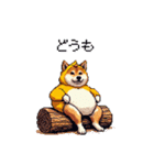 ヒヨコな太っちょ柴犬 挨拶にも（個別スタンプ：12）