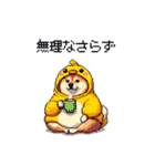ヒヨコな太っちょ柴犬 挨拶にも（個別スタンプ：19）