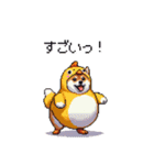 ヒヨコな太っちょ柴犬 挨拶にも（個別スタンプ：23）