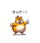 ヒヨコな太っちょ柴犬 挨拶にも（個別スタンプ：29）