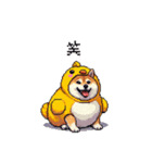 ヒヨコな太っちょ柴犬 挨拶にも（個別スタンプ：32）