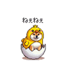 ヒヨコな太っちょ柴犬 挨拶にも（個別スタンプ：37）