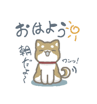 シバさんずの日常（個別スタンプ：1）