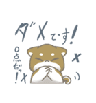 シバさんずの日常（個別スタンプ：13）