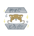 シバさんずの日常（個別スタンプ：16）