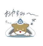 シバさんずの日常（個別スタンプ：19）
