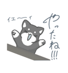 シバさんずの日常（個別スタンプ：27）