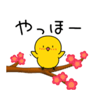 【春の日常】ひよこのちっぴ（個別スタンプ：1）
