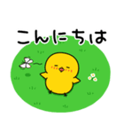 【春の日常】ひよこのちっぴ（個別スタンプ：5）