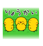 【春の日常】ひよこのちっぴ（個別スタンプ：10）