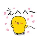 【春の日常】ひよこのちっぴ（個別スタンプ：13）