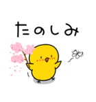 【春の日常】ひよこのちっぴ（個別スタンプ：23）
