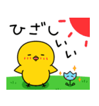 【春の日常】ひよこのちっぴ（個別スタンプ：29）