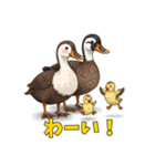 カルガモ親子のほっこり日和（個別スタンプ：1）
