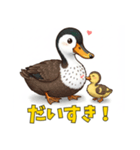 カルガモ親子のほっこり日和（個別スタンプ：8）